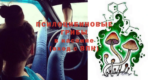 spice Аркадак